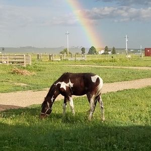 Meet your Posher, Pat